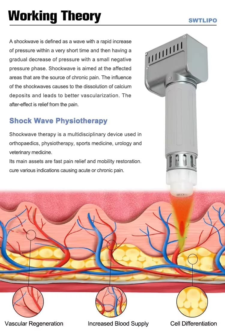 Shockwave and EMS Therapy Machine 7